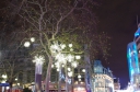 IMGP0288.JPG
