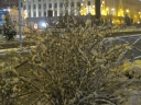 Име на файл=IMG_3487~0.JPG
Размер на файл=2307KB
Размери=2048x1536
Дата на добавяне=Октомври 10 2015 IMG_3487~0.JPG