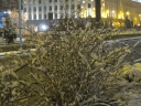 Име на файл=IMG_3488~1.JPG
Размер на файл=2613KB
Размери=2048x1536
Дата на добавяне=Октомври 10 2015 IMG_3488~1.JPG