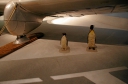Име на файл=K52S2260.JPG
Размер на файл=2070KB
Размери=2048x1356
Дата на добавяне=Октомври 10 2015 K52S2260.JPG
