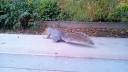 PIC000877~0.jpg